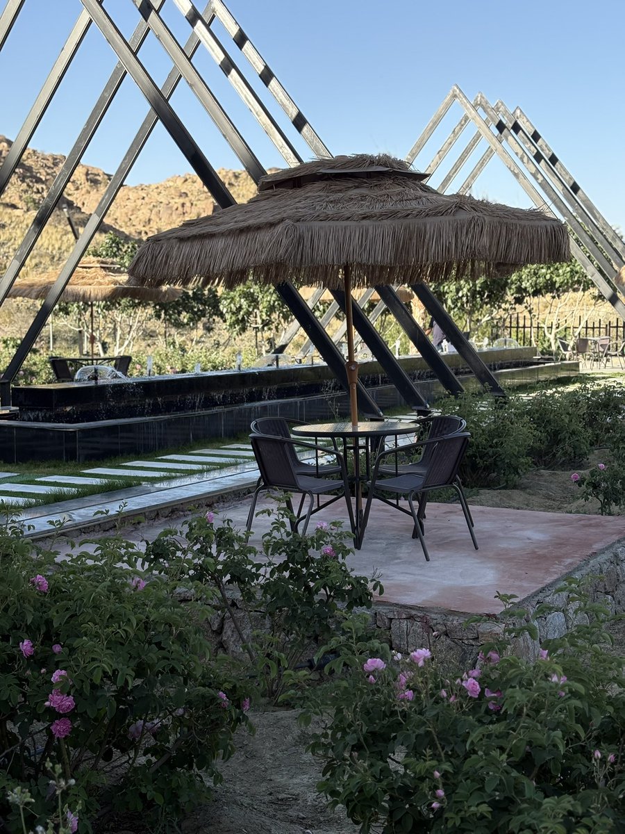 #عاصفه_ترابيه #الطايف_الان #الردف #موسم_الورد_الطائفي #موسم_الورد  #شوال #الغربيه #مكه #جده