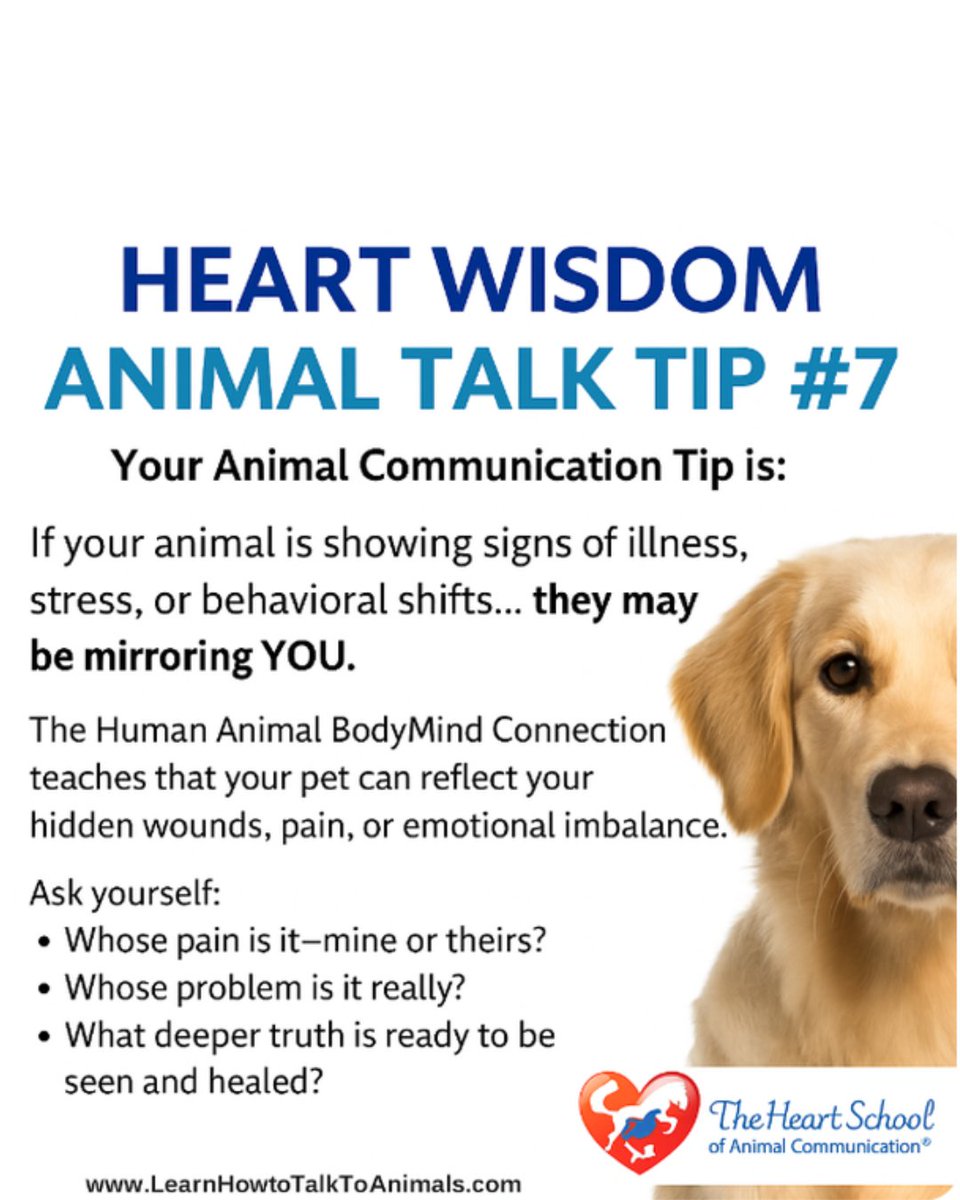 Val_Heart's tweet image. Mary joined a recent Animal Talk Coaching &amp;amp; Mastery Club® Masterclass hoping to deepen her skills, but she experienced something far more powerful than she expected. 🐾 Are you ready for your own breakthrough? Join us today! go.learnhowtotalktoanimals.com/animal-talk-co…