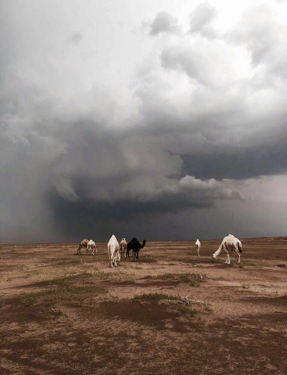 wwwwewwwe0's tweet image. 