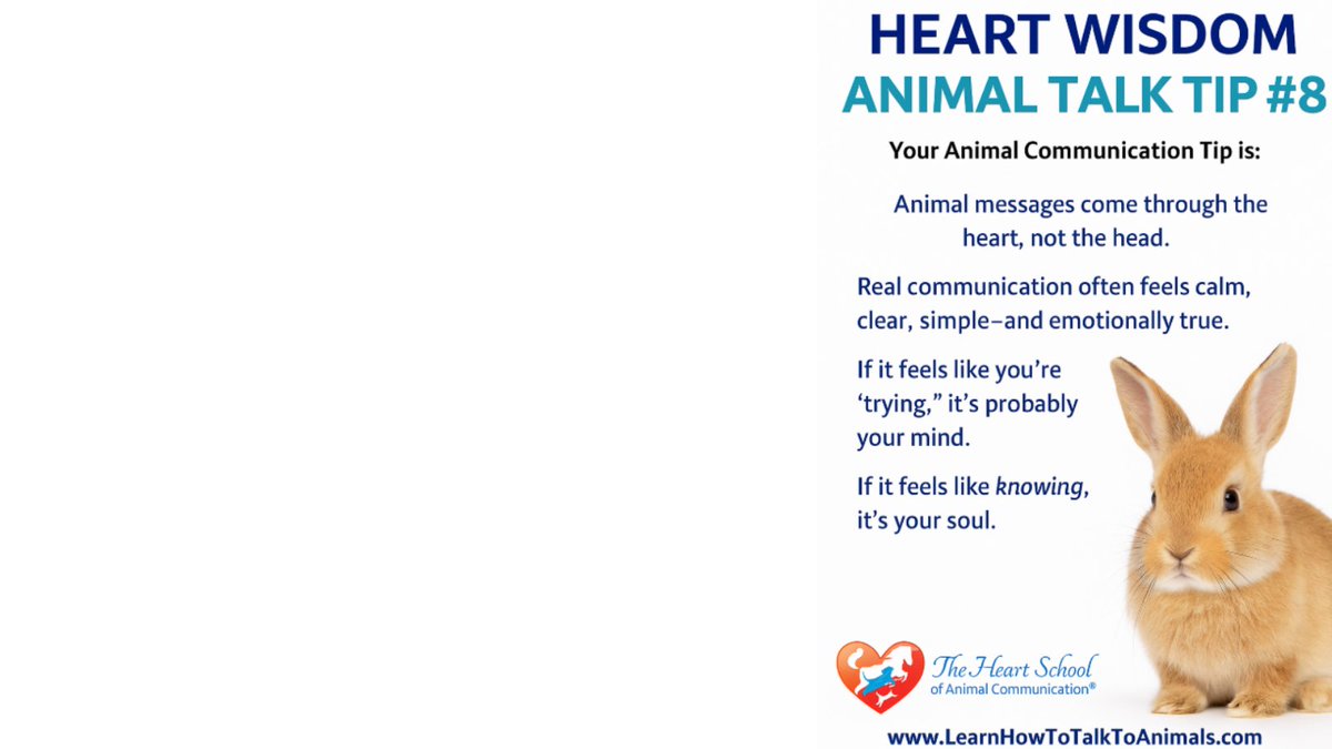 Val_Heart's tweet image. How do you know when it's your pet talking vs your imagination? 🐾
Real animal messages come through your heart with intuitive "knowing" - while our thoughts feel effortful.
This heart connection is learnable! Quiet your mind to develop intuition.
go.learnhowtotalktoanimals.com/animal-talk-co…