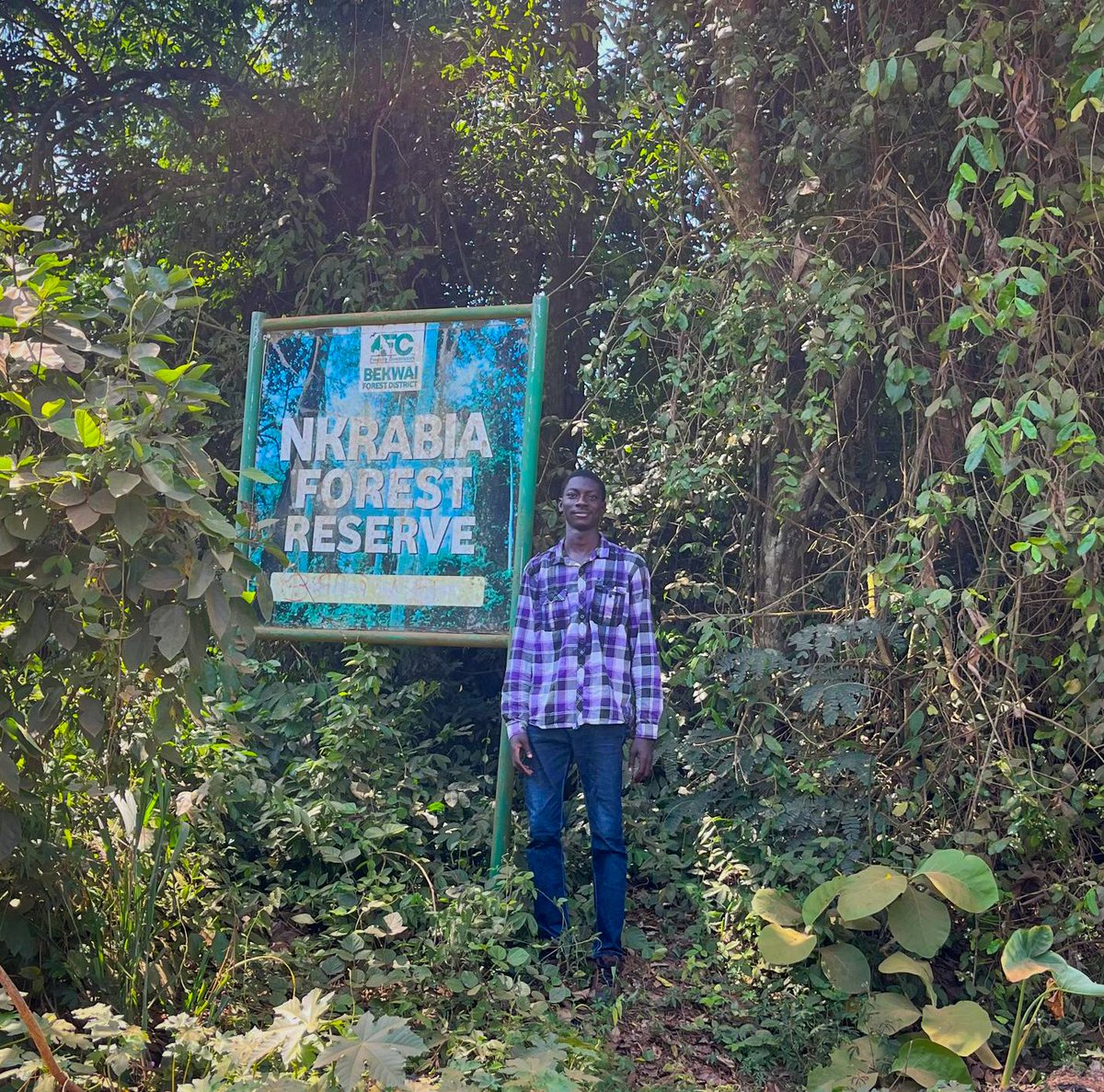 ghwildlifesoc's tweet photo. #FieldUpdates
Our team is in the Ashanti forests for a KBA assessment of key Picathartes sites.
Today’s highlight: Rare sighting of 3-week-old White-necked Picathartes chicks in their nest!
More species spotted. More reasons to protect.
@RSPB @BirdLife_News https://t.co/cN6JcZTNti