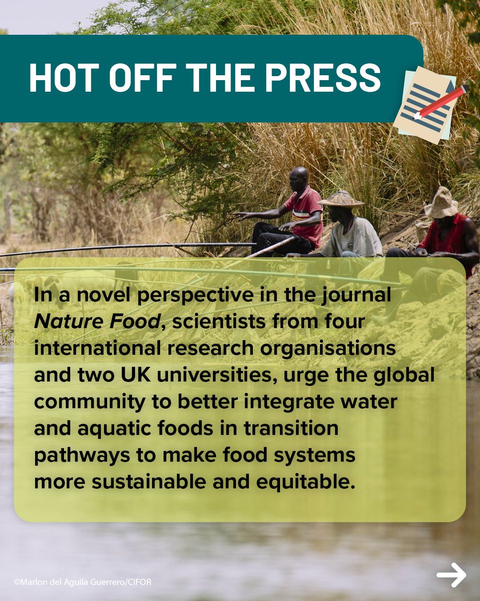 CIFOR_ICRAF's tweet image. No water, no food. 💧🥗

A new Nature Food study calls for integrating water &amp;amp; aquatic foods into #agroecology—embracing fishers, aquatic biodiversity &amp;amp; land-to-seascape approaches for resilient food systems.

 Read:🔗 bit.ly/4jylmAN

#aeTPP #FoodSystems