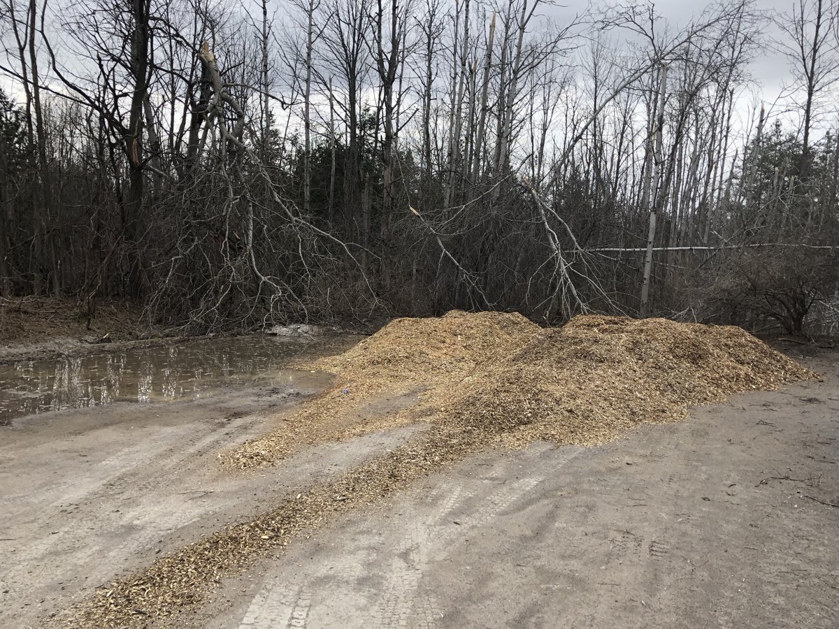 KawarthaConservation (@kawarthaconserv) on Twitter photo Ken Reid Conservation Area has re-opened with limited access and parking. Only main driveway access. Escarpment Trail, Pond Loop & Dog Park open. Disc Golf closed. No access via Rail Trail or to back of park. Avoid parking near wood chips.
<a href="/kawarthalakes/">Kawartha Lakes</a> <a href="/conont/">Conservation Ontario</a> @ExploreKL Ken Reid Conservation Area has re-opened with limited access and parking. Only main driveway access. Escarpment Trail, Pond Loop & Dog Park open. Disc Golf closed. No access via Rail Trail or to back of park. Avoid parking near wood chips.
<a href="/kawarthalakes/">Kawartha Lakes</a> <a href="/conont/">Conservation Ontario</a> @ExploreKL
