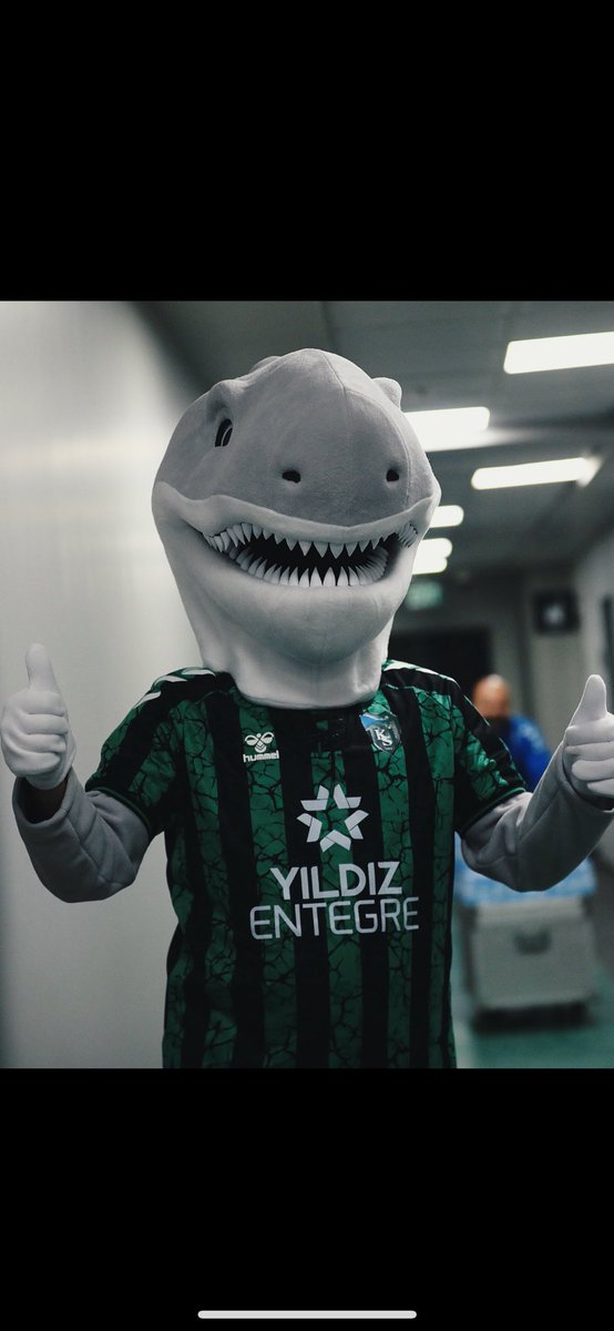 🦈🦈🦈🦈🦈🦈🦈🦈🦈<a href="/Kocaelispor/">Kocaelispor</a>