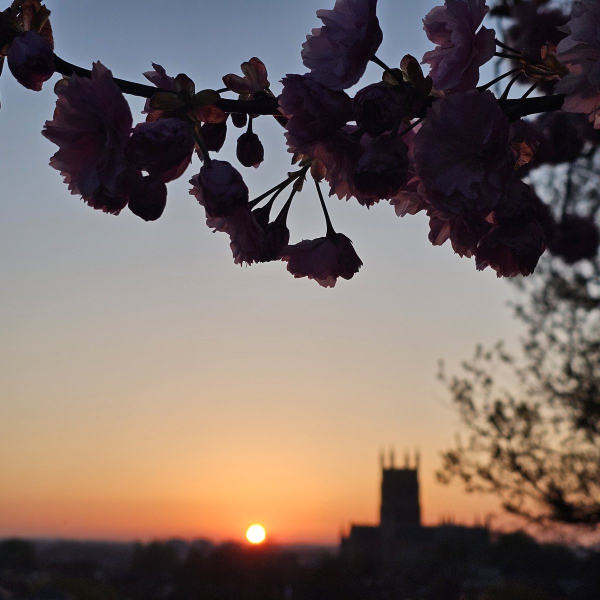AP Capture with Freedom (@freedom_capture) on Twitter photo #WorcestershireHour Finding blossom at the right time and right place...
<a href="/FortRoyalFriend/">Fort Royal Friends</a> #WorcestershireHour Finding blossom at the right time and right place...
<a href="/FortRoyalFriend/">Fort Royal Friends</a>