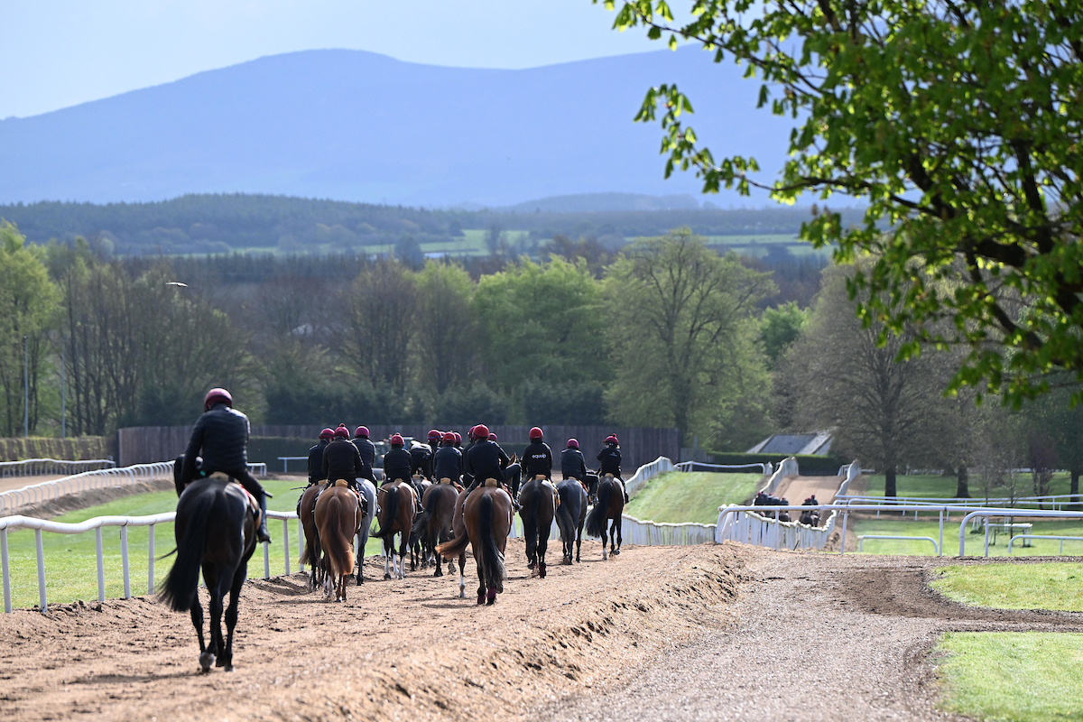 Racing TV tweet media