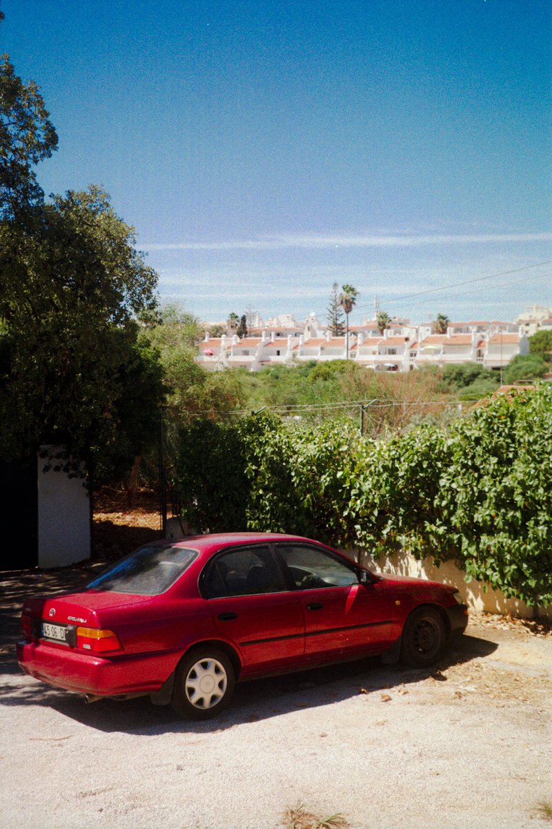 zoumsg's tweet image. the photographer x the pictures