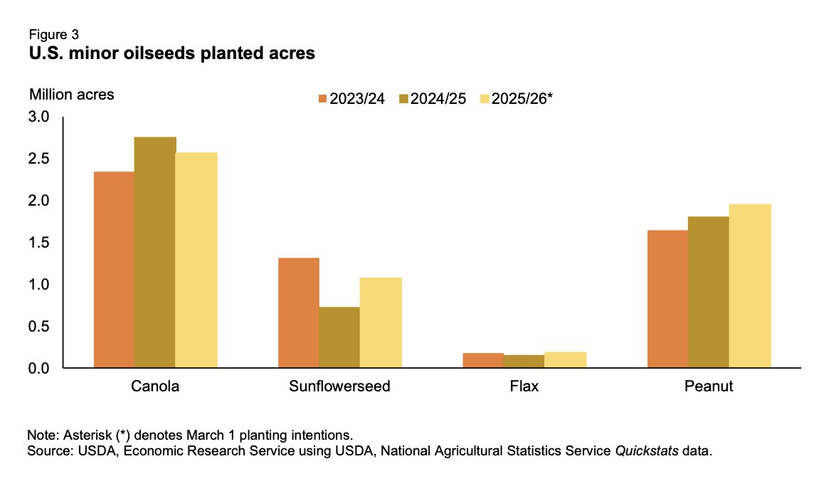 FarmPolicy (@farmpolicy) on Twitter photo 2/2 The <a href="/usda_nass/">National Agricultural Statistics Service</a> March Prospective Plantings report indicated that U.S. farmers intend to sow more sunflowerseed, flax, peanut, and less #canola area.
From the <a href="/USDA_ERS/">Economic Research Service</a>: tinyurl.com/3a8hrcmm 2/2 The <a href="/usda_nass/">National Agricultural Statistics Service</a> March Prospective Plantings report indicated that U.S. farmers intend to sow more sunflowerseed, flax, peanut, and less #canola area.
From the <a href="/USDA_ERS/">Economic Research Service</a>: tinyurl.com/3a8hrcmm