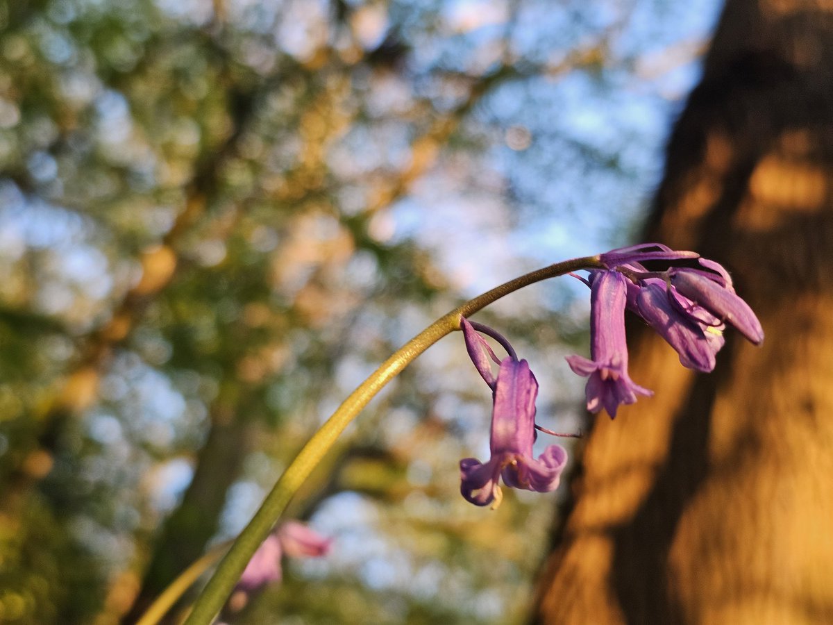 AP Capture with Freedom tweet media