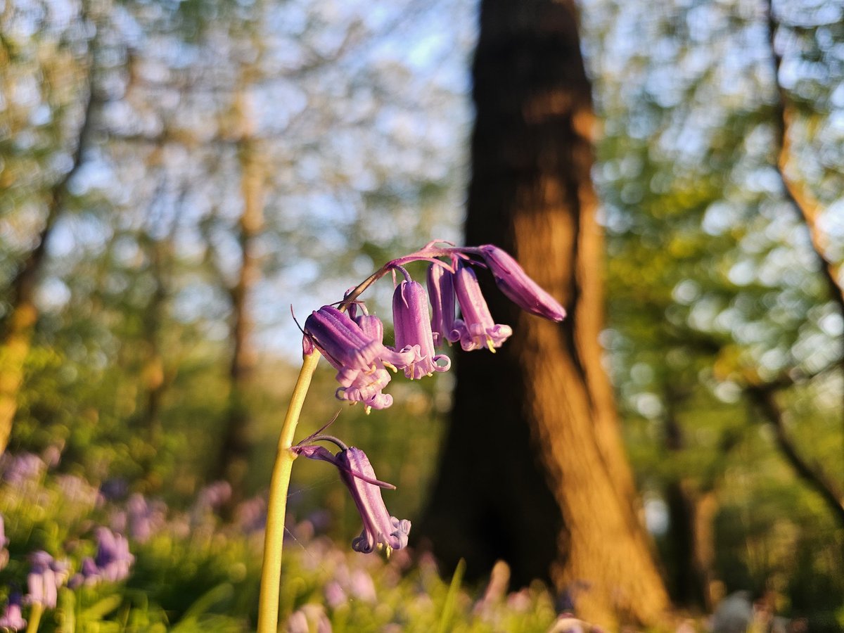 AP Capture with Freedom tweet media