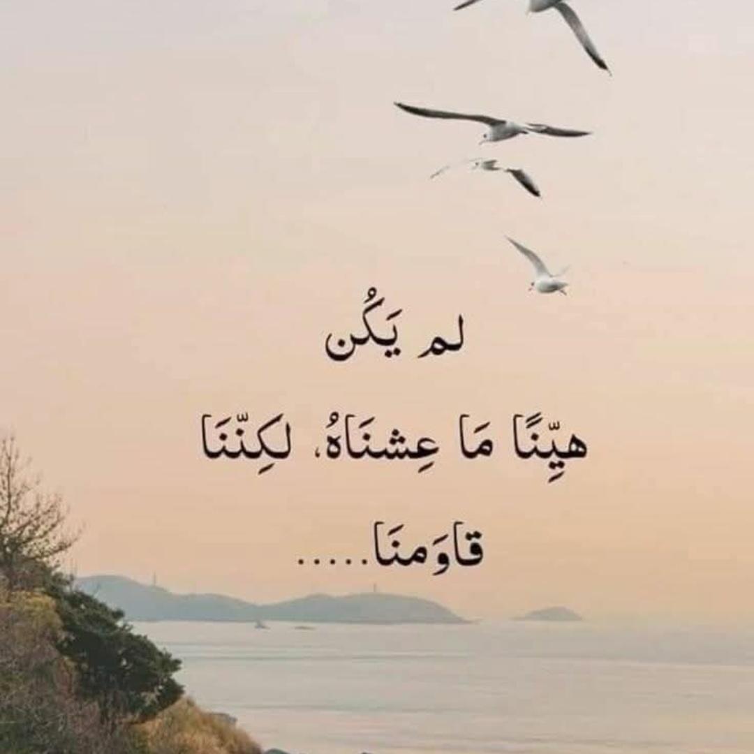 #صورة_ملف_شخصي_جديدة