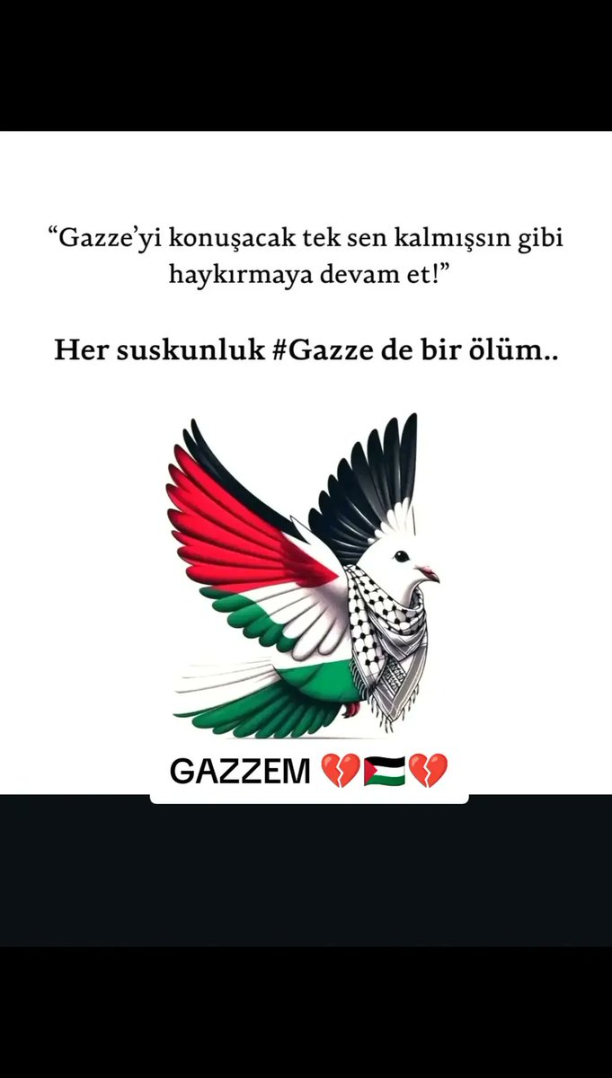 Biz onları savunmaktan Asla vazgeçmeyeceğiz 
Kahraman Onurlu Asil Gazze Halkına Selam olsun 
Gazze Özgürlüğüne Kavuşacak 
Filistin Özgür Olacak 
#FreePalestine 
🇹🇷🇵🇸✌️