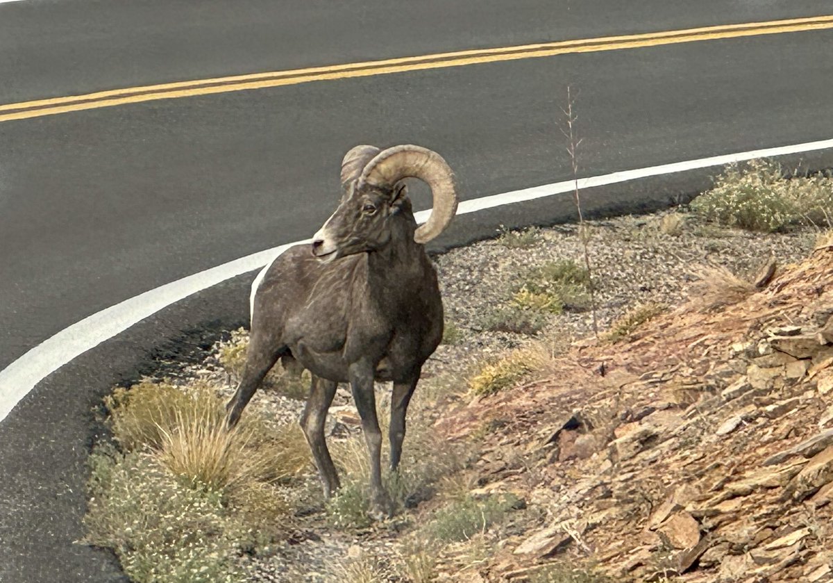 Bob Roat (@roto1957) on Twitter photo <a href="/obligatraveler/">obligatory traveler</a> <a href="/DenaliNPS/">Denali National Park</a> <a href="/LiveaMemory/">Live a Memory</a> <a href="/cherrydude/">Eric Patrick</a> <a href="/HHLifestyleTrav/">Hannah : HH Lifestyle Travel</a> <a href="/LindaPeters64/">Linda</a> <a href="/travelstustring/">travel on a stu-string</a> <a href="/pipeaway_travel/">Pipeaway</a> <a href="/drugstoredivas/">Lisa at Drugstore Divas</a> <a href="/OneDelightfulL/">One Delightful Life</a> <a href="/sisbehaving/">Sisbehaving | travel bloggers</a> <a href="/sl2016_sl/">Seema</a> #Top4Theme #Top4Roads
1)Whitney Portal Road CA Yesterday
2 Valley of Fire State Park. NV. March 2025
3
Great Sand Dunes NP Oct 2024
4 Colorado National Monument Oct 2024 <a href="/obligatraveler/">obligatory traveler</a> <a href="/DenaliNPS/">Denali National Park</a> <a href="/LiveaMemory/">Live a Memory</a> <a href="/cherrydude/">Eric Patrick</a> <a href="/HHLifestyleTrav/">Hannah : HH Lifestyle Travel</a> <a href="/LindaPeters64/">Linda</a> <a href="/travelstustring/">travel on a stu-string</a> <a href="/pipeaway_travel/">Pipeaway</a> <a href="/drugstoredivas/">Lisa at Drugstore Divas</a> <a href="/OneDelightfulL/">One Delightful Life</a> <a href="/sisbehaving/">Sisbehaving | travel bloggers</a> <a href="/sl2016_sl/">Seema</a> #Top4Theme #Top4Roads
1)Whitney Portal Road CA Yesterday
2 Valley of Fire State Park. NV. March 2025
3
Great Sand Dunes NP Oct 2024
4 Colorado National Monument Oct 2024