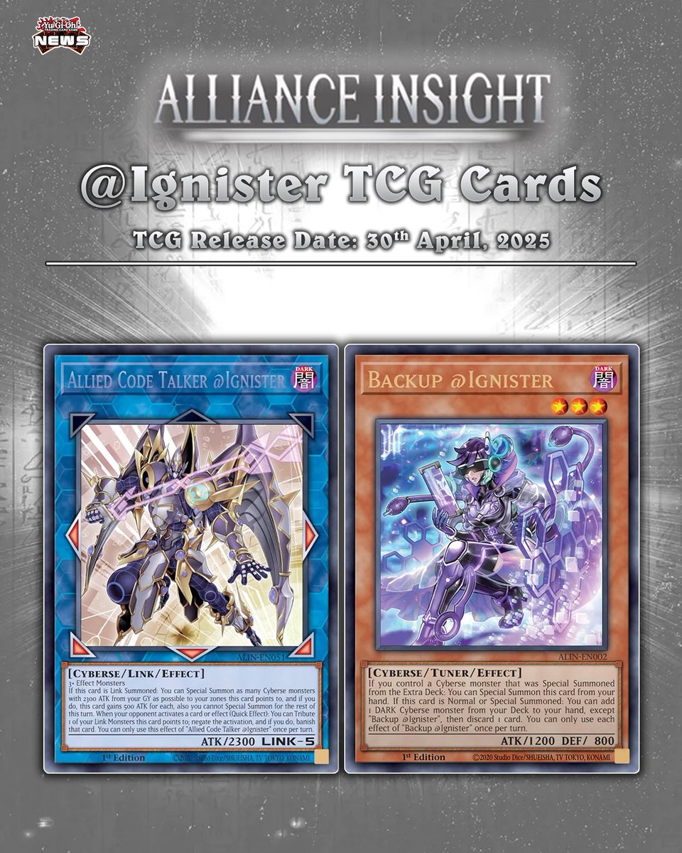 𝗔𝗹𝗹𝗶𝗮𝗻𝗰𝗲 𝗜𝗻𝘀𝗶𝗴𝗵𝘁❱ The cover card Allied Code