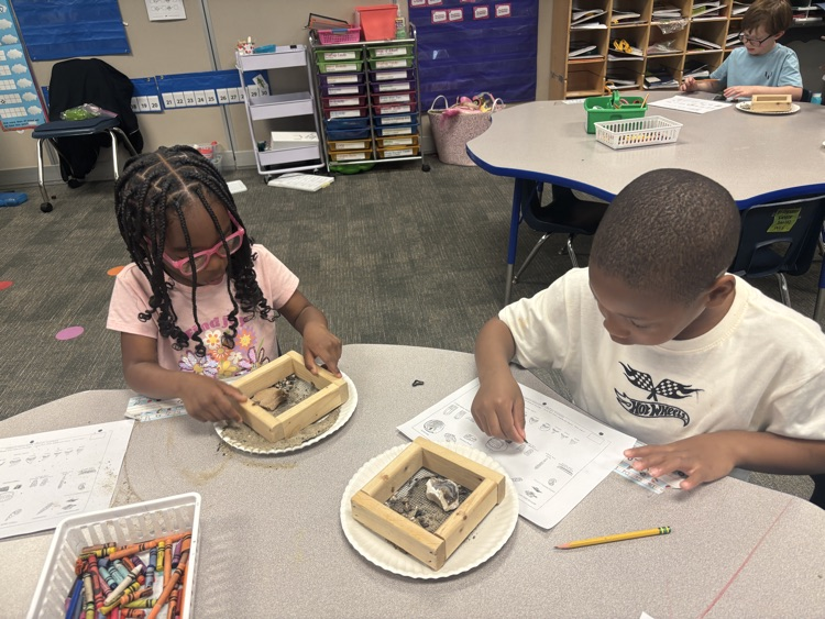 HumbleISD_FE's tweet photo. Kindergarten had fun exploring fossils today in Science. https://t.co/tGn3mOU6Dr