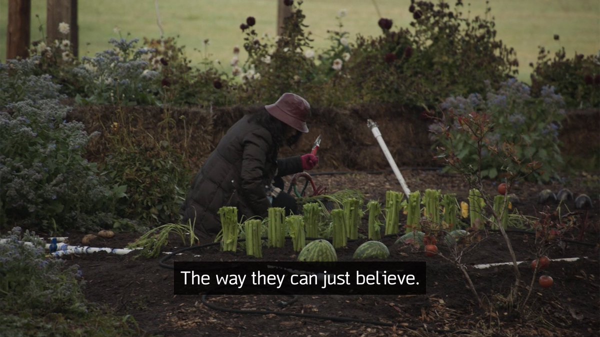 no context nathan (@nathanforyouooc) on Twitter photo 