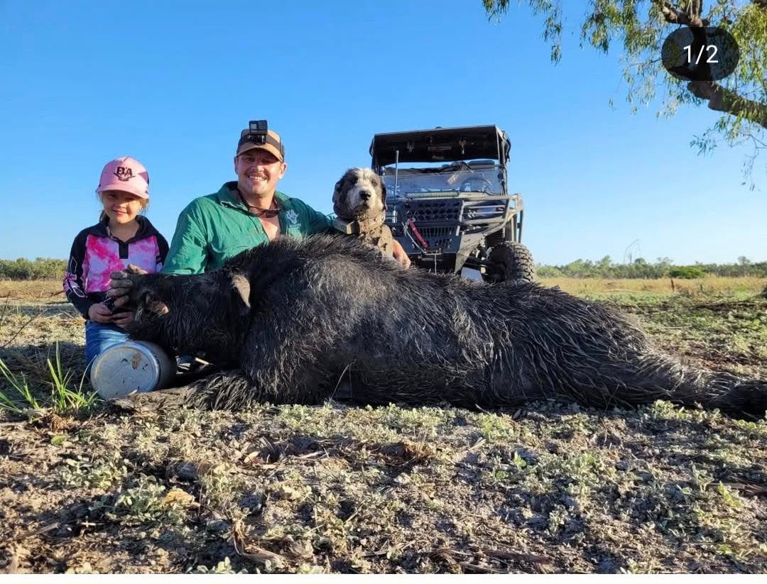 Huntingconnect's tweet image. NEW EPISODE OUT NOW!

I’m joined by Dan &amp;amp; Nat from Boaring Australia — a pig-slaying family from Queensland who travel the country helping control wild pig numbers. From dog runs and thermal scopes to helicopter culling, these two are all in when it comes to making a difference.…