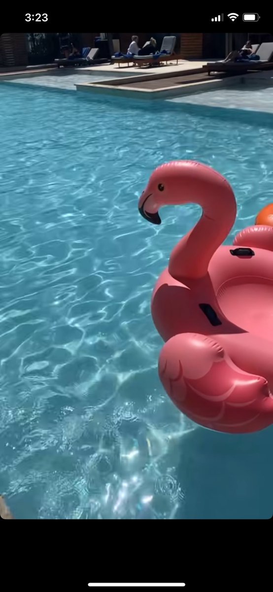 Happiness is a butterfly 🦋