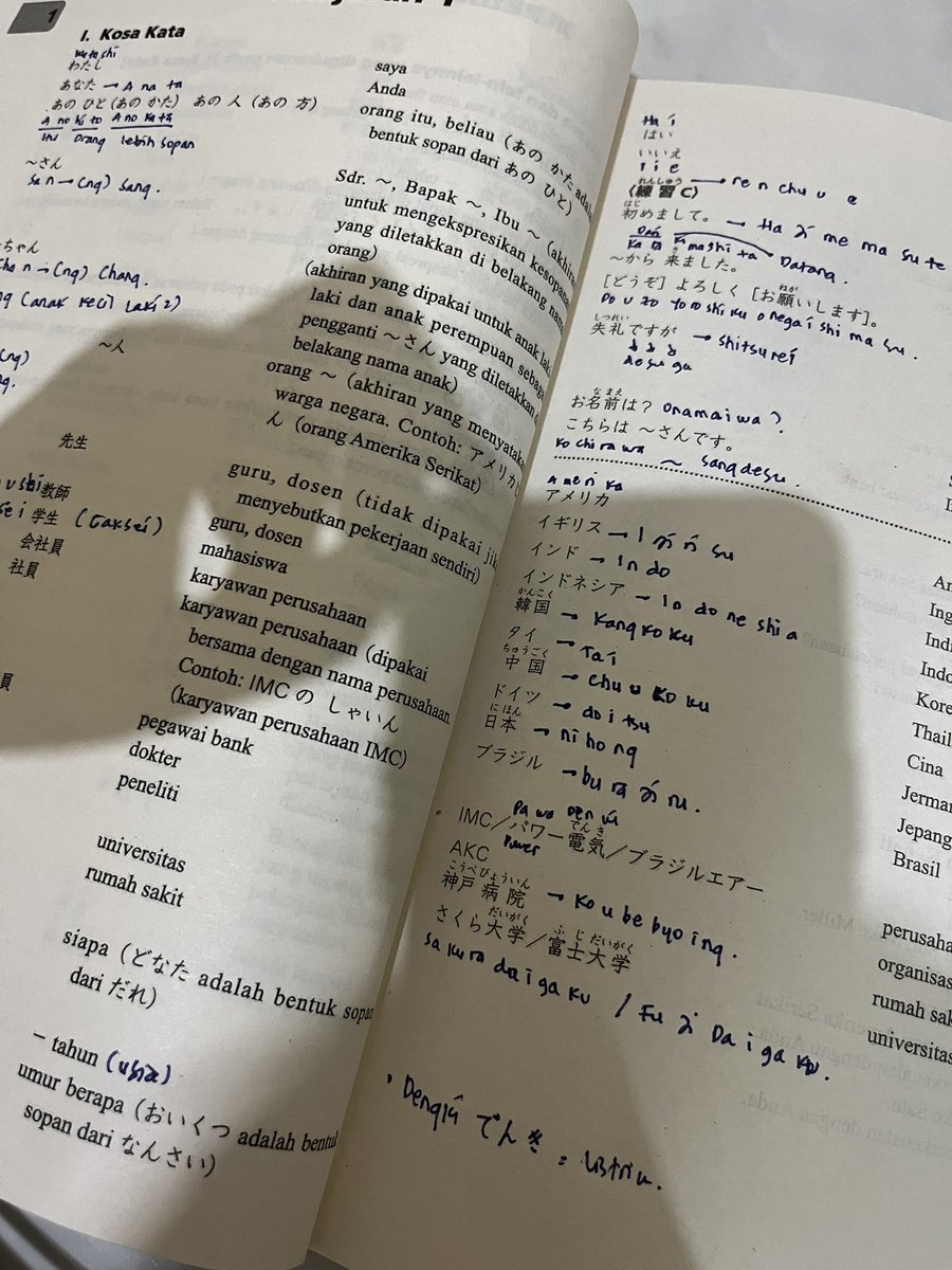 𝗯𝗲𝗲 tweet media