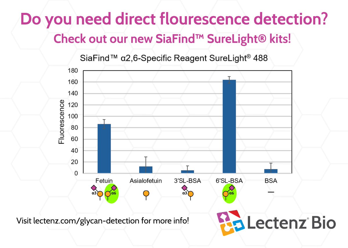 lectenz_bio's tweet image. 