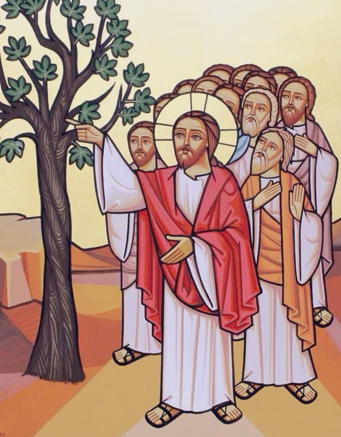 BishopAngaelos's tweet photo. #LentJourney2025 Day 50
Monday of Holy Pascha

“Now the next day, when they had come out from Bethany, He was hungry. And seeing from afar a fig tree having leaves, He went to see if perhaps He would find something on it. When He came to it, He found nothing but leaves” Mark 11:12-13

The issue was never that the tree was ‘without fruit’, but that it deceptively gave the appearance of being ‘with fruit’.