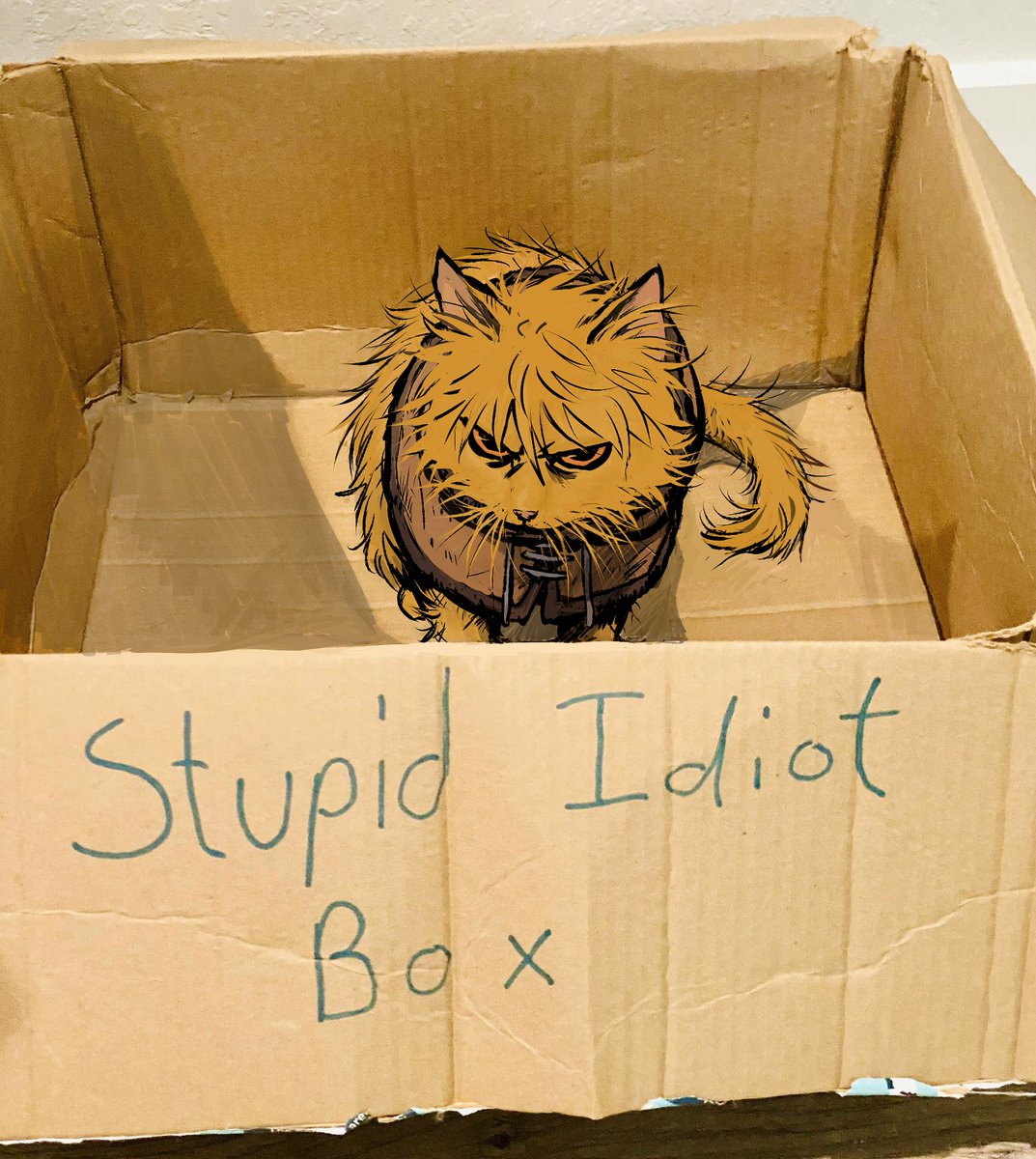 flrrrrr222's tweet photo. @mia_bobriha he sleeps in the stupid idiot box https://t.co/bD9coIojFs