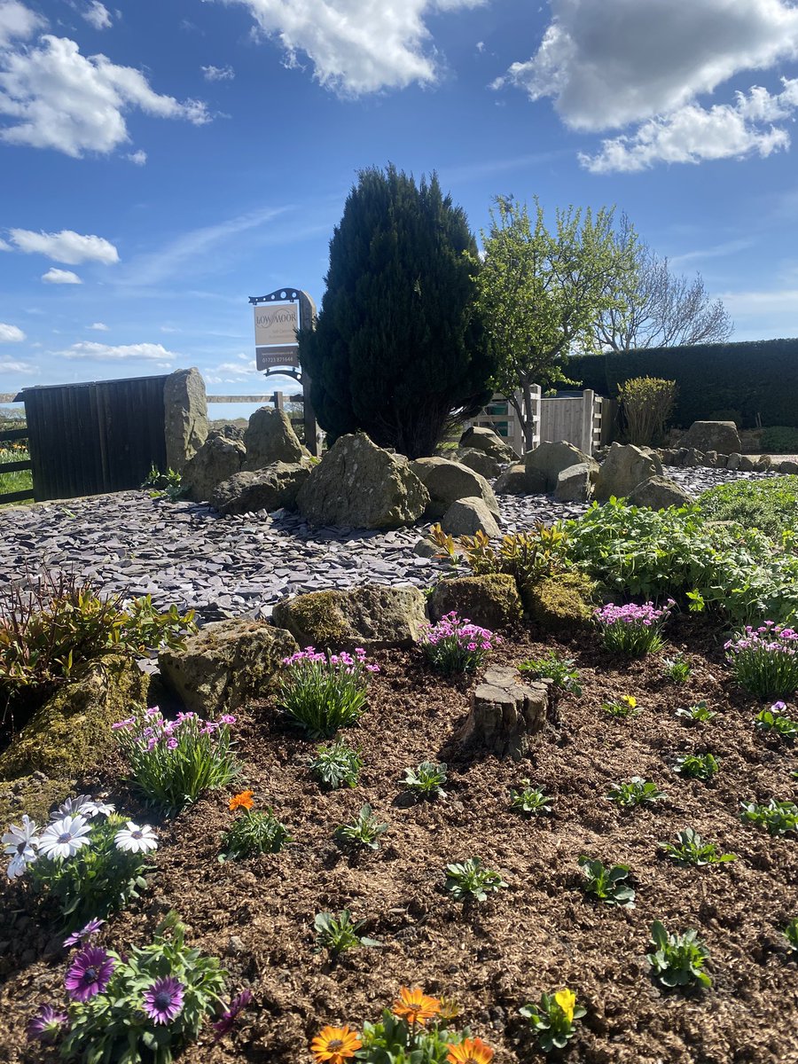 Getting the gardens planted up and looking tidy ready for a busy Easter at Low Moor. These flowers will look bonny in  few weeks especially if this blue sky and sunshine continues 😊