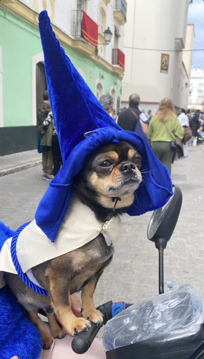 Lunes Santo en La Viña