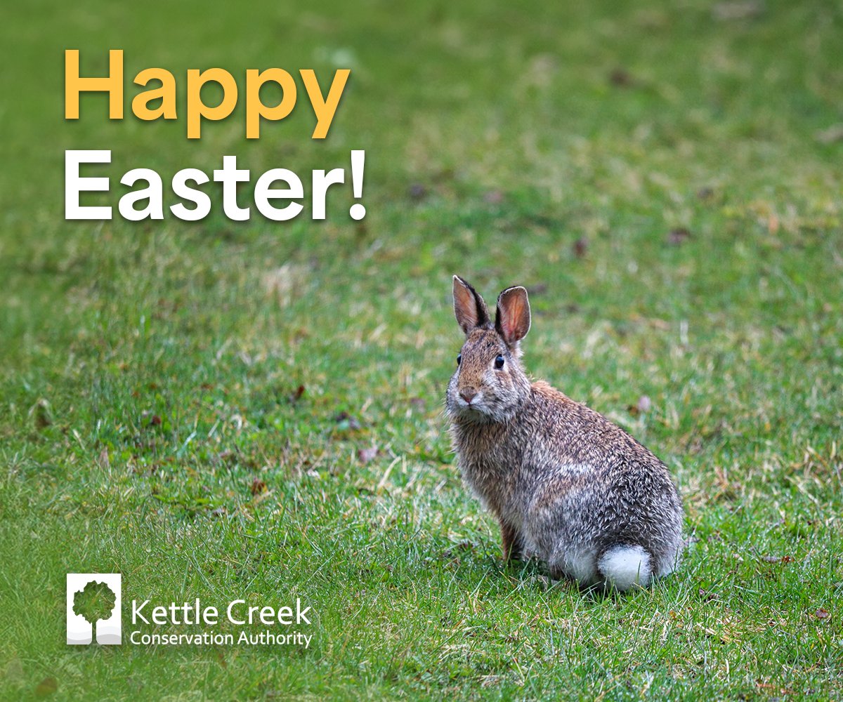 The KCCA Administration Office will be closed today and Monday, April 21, in observance of Easter. We will reopen on Tuesday, April 22 at 8:30 a.m.

From everyone at the Kettle Creek Conservation Authority, we hope you have a great Easter weekend!