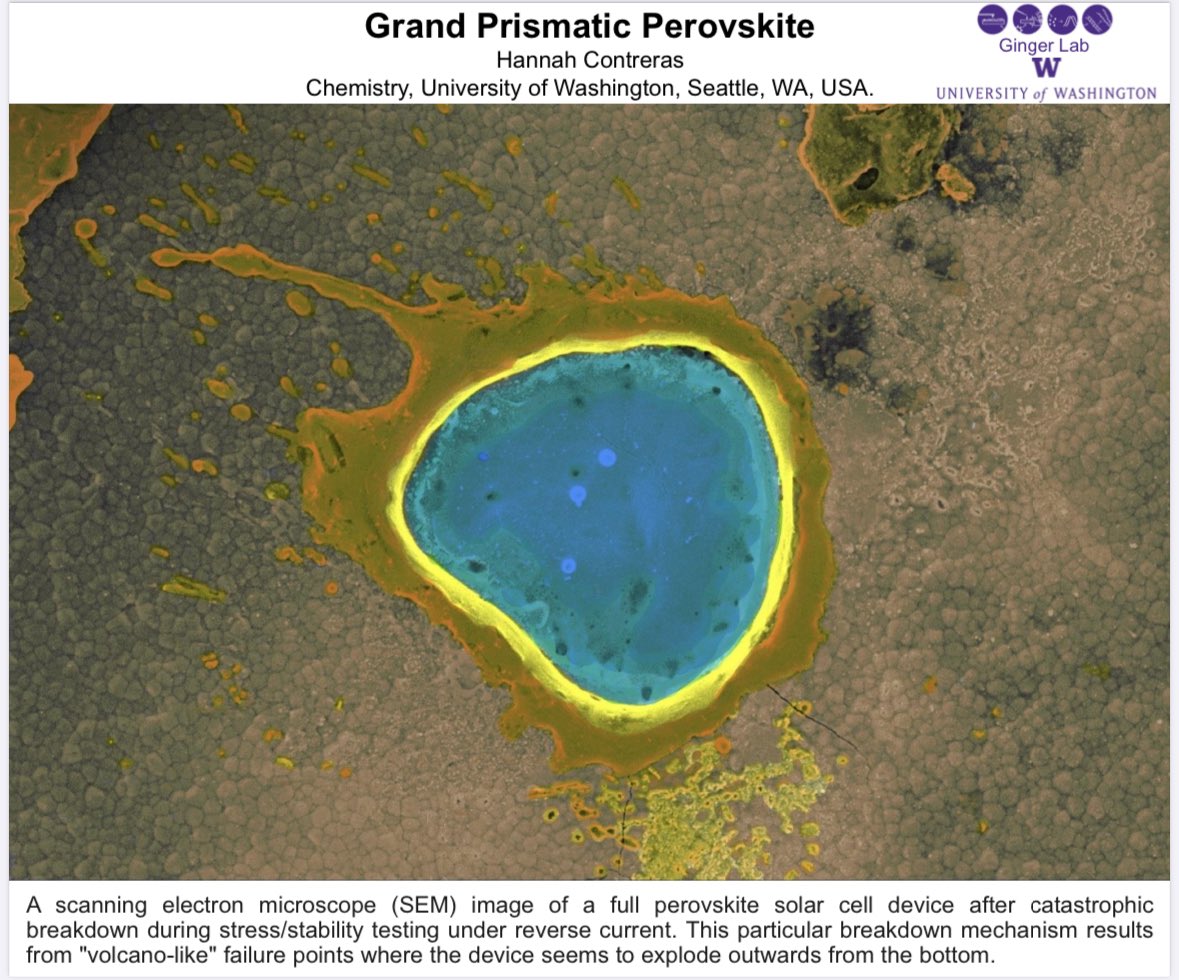 Hannah Contreras tweet media