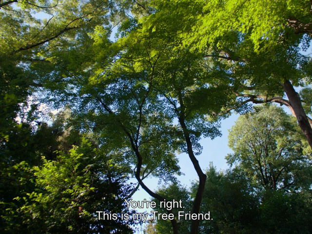 TheCinesthetic's tweet image. Perfect Days (2023)