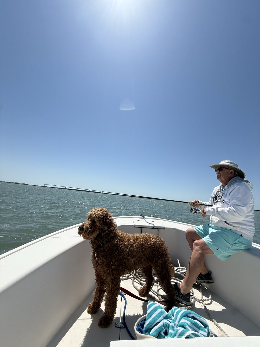 Brigitte Cochran tweet media