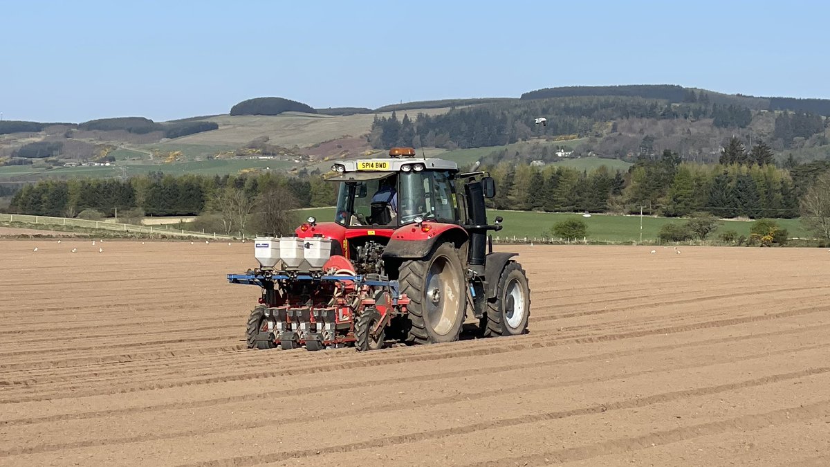 Mark Croal tweet media