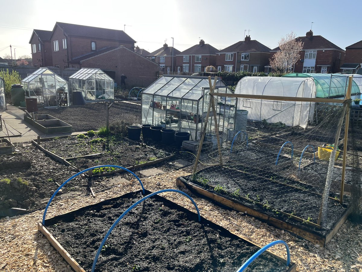 #GardensHour

1 Fave photo - Allotment kicking into life! 
1 Top Tip - Don’t assume the soils wet! 💦 
1 Question - Why are my peas dying 😢 
1 New thing to try this year - Raised beds, hopefully less work! 😃 

#NationalGardeningDay