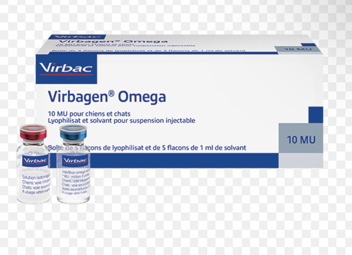 - SOS -

🆘 URGENT – 
Besoin d’interféron oméga félin (Virbagen Omega®) 🐾
