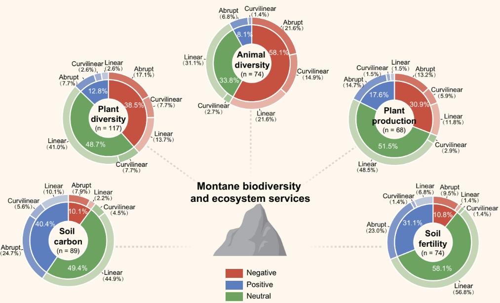 ManuDelgadoBaquerizo (@manudelbaq) on Twitter photo New <a href="/PNASNews/">PNASNews</a> in <a href="/BioFunLab/">BioFunLab</a>!
Temperature thresholds induce abrupt shifts in biodiversity & ecosystem services in montane ecosystems worldwide
pnas.org/doi/10.1073/pn…
w <a href="/BioFunLab/">BioFunLab</a> <a href="/GuiyaoZhou/">Guiyao Zhou</a> & alumni Xiaomin Zeng Dongxue Tao & <a href="/TadeoSaez/">Tadeo Saez</a> <a href="/YurongLiu120082/">Yurong Liu</a> <a href="/MiguelBerdugo1/">Miguel Berdugo</a> &+! New <a href="/PNASNews/">PNASNews</a> in <a href="/BioFunLab/">BioFunLab</a>!
Temperature thresholds induce abrupt shifts in biodiversity & ecosystem services in montane ecosystems worldwide
pnas.org/doi/10.1073/pn…
w <a href="/BioFunLab/">BioFunLab</a> <a href="/GuiyaoZhou/">Guiyao Zhou</a> & alumni Xiaomin Zeng Dongxue Tao & <a href="/TadeoSaez/">Tadeo Saez</a> <a href="/YurongLiu120082/">Yurong Liu</a> <a href="/MiguelBerdugo1/">Miguel Berdugo</a> &+!
