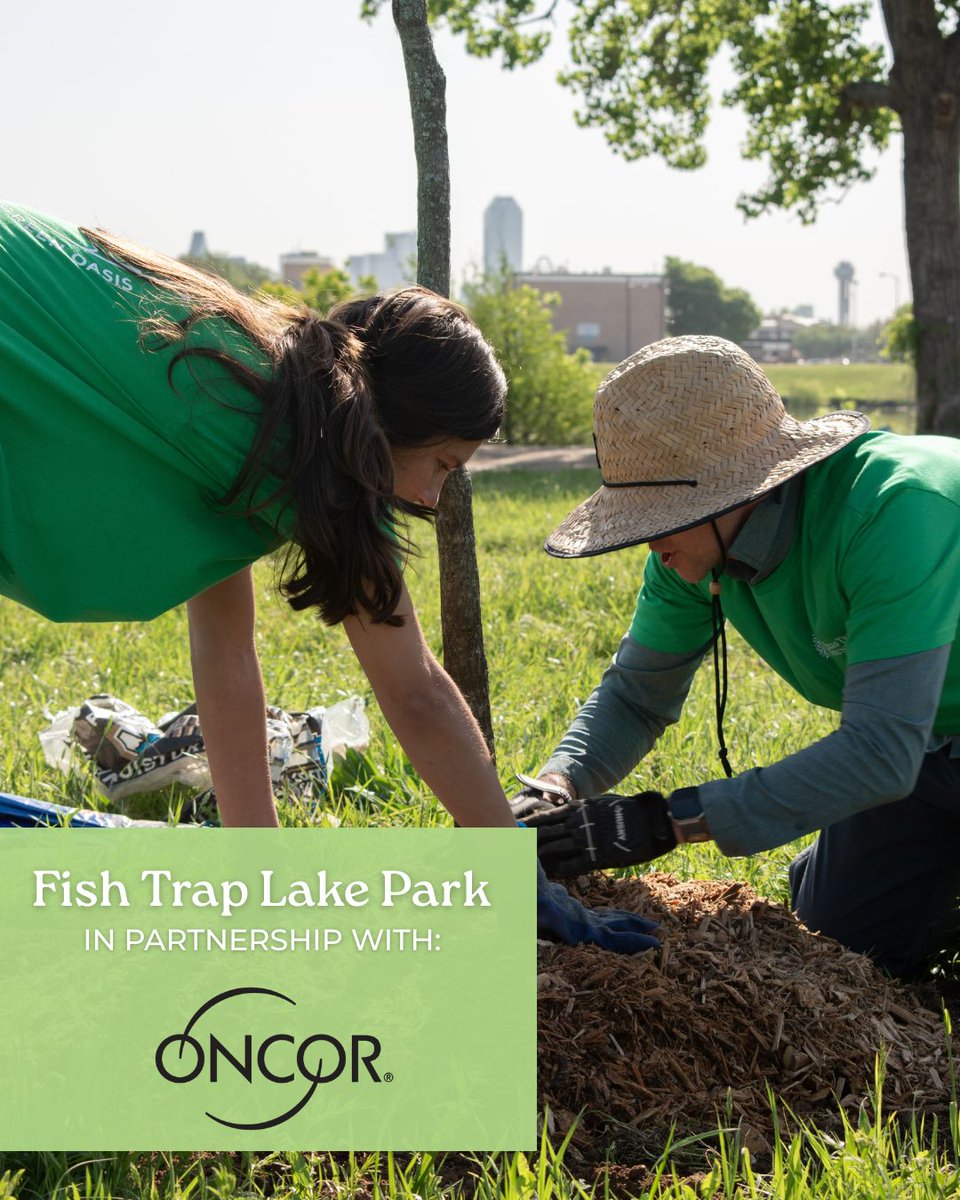 Texas Trees Foundation tweet media