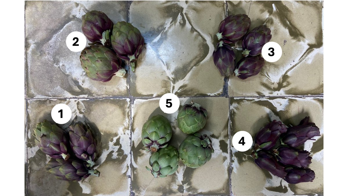 Pere Fraga Arguimbau tweet media