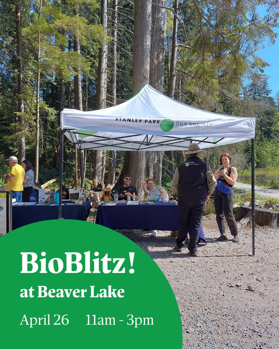 Stanley Park Ecology tweet media