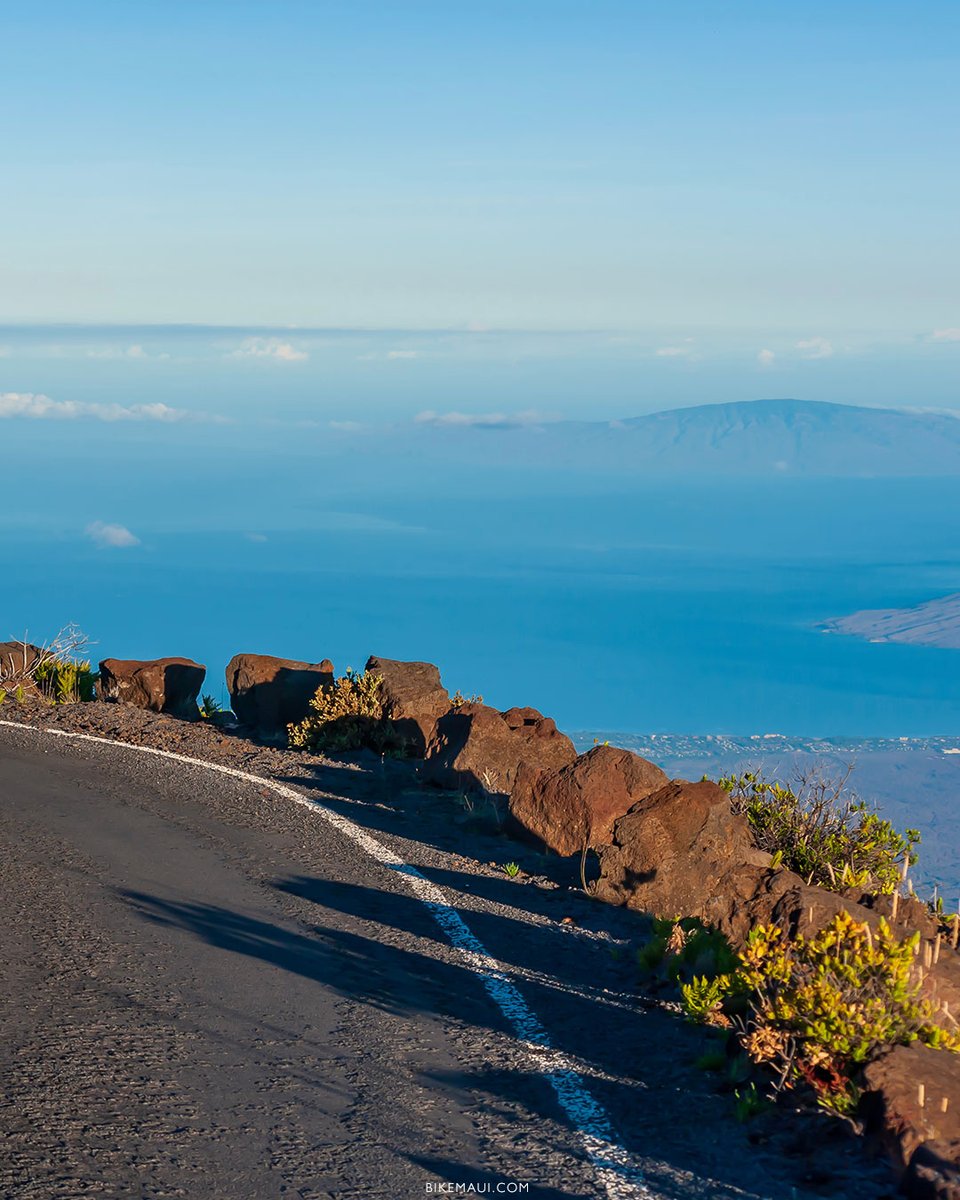 bikingmaui's tweet photo. From the crisp, cold summit to the warm ocean breeze at sea level, biking down Haleakala is a 23-mile journey through climate zones and breathtaking views. #BikeHaleakala #DownhillThrill #EpicRides https://t.co/c721irnt30