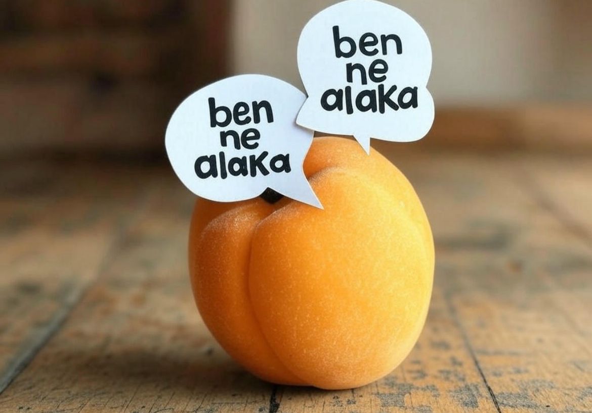 YT06_'s tweet photo. Kayısının faydalarından biri güçlü bir antioksidan kaynağı olmasıdır.

#CumhurbaşkanımMEBe68BinAtama https://t.co/pTIPLxGfF9