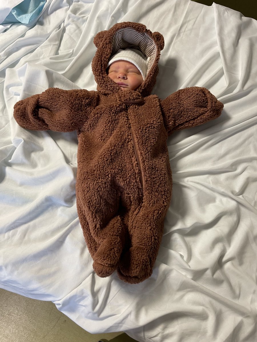 Pete Nochta tweet media