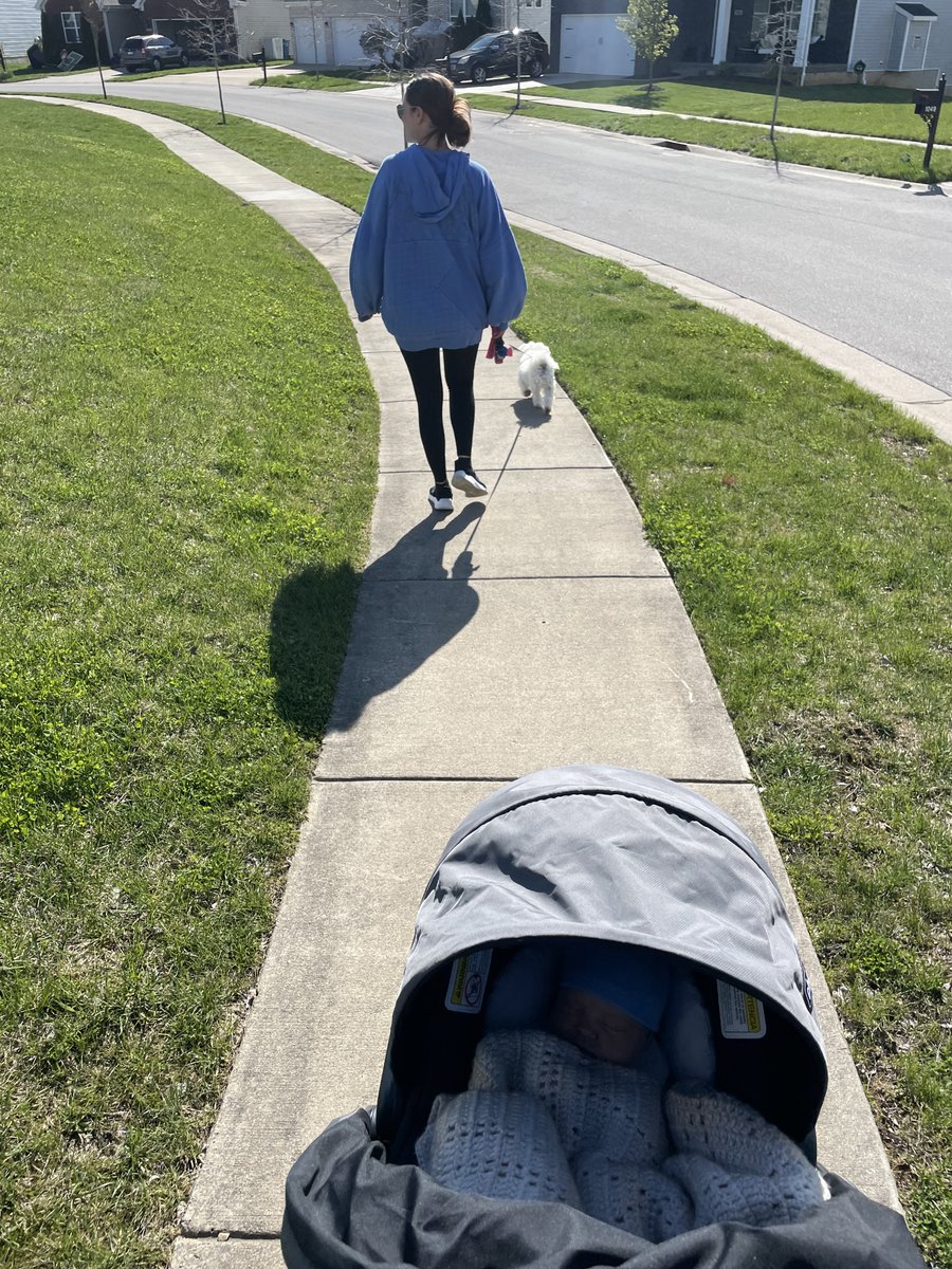 Pete Nochta tweet media