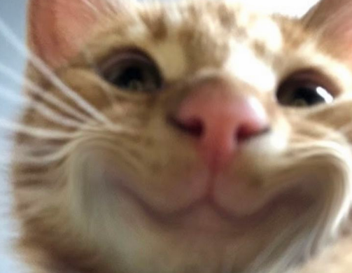 boloubabtw's tweet photo. NEW HEALING PERKS (pls) AND CUTE SURVIVOR https://t.co/2A2b7hlqM2
