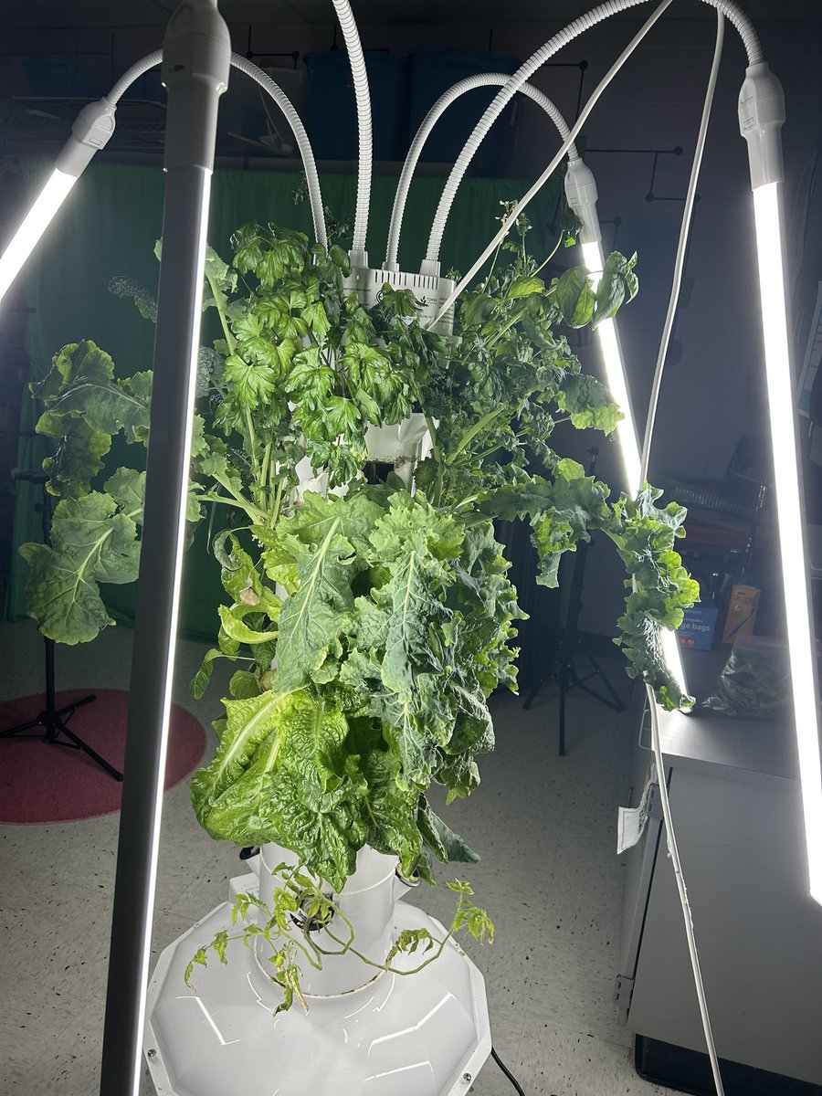 Kaitlin Todaro (Denhart) tweet media