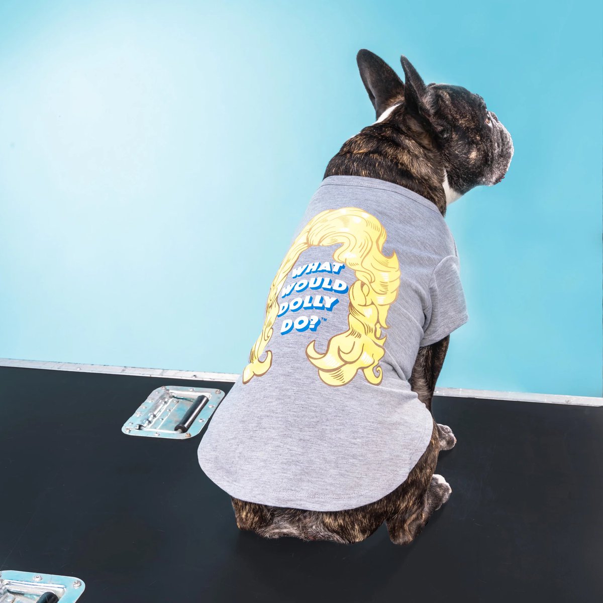 Doggy Parton tweet media