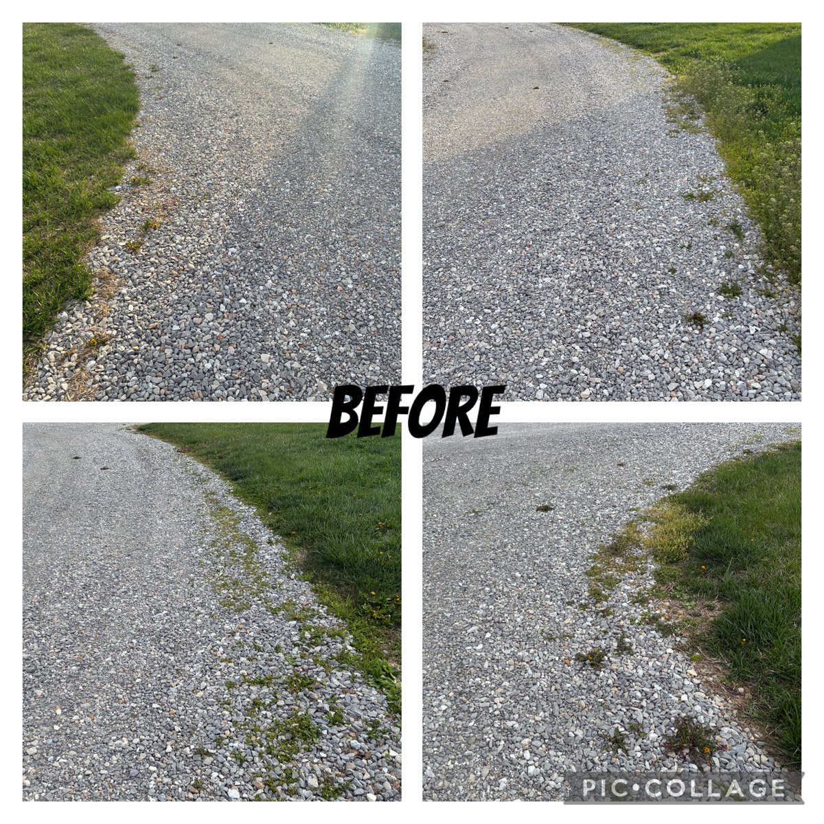 kostertsd's tweet photo. This driveway had hundreds of small weeds emerging that were too small to pull. They were way down between the rocks so used the torch weeder for 2 hours first to wilt them, promoting a damaged structure, and then the box blade &amp; rippers to get down below the surface and level. https://t.co/vgKL2DgkFR