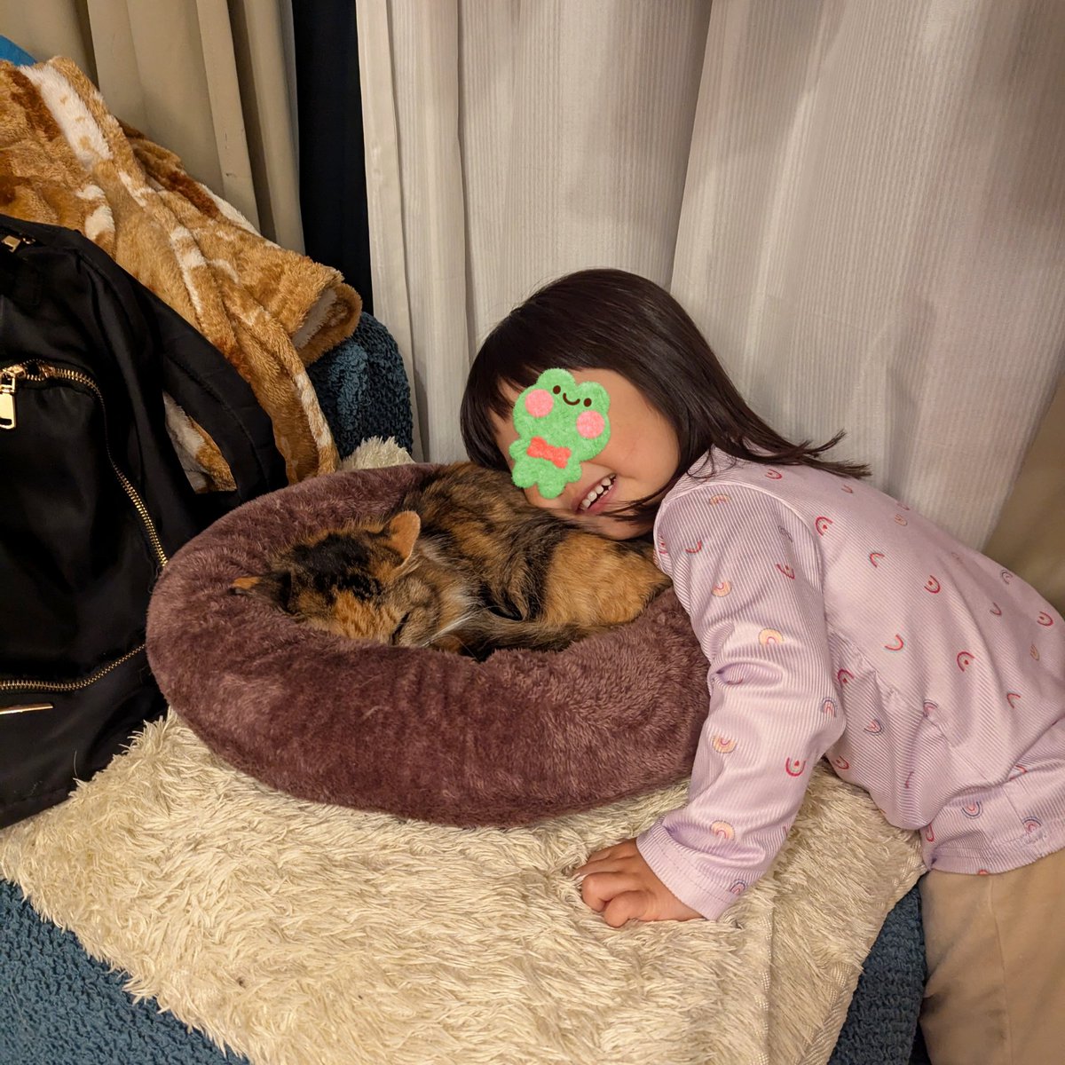 🌼おはねこ🌼
猫ちゃんにハグする２歳のお姫さま。優しくなでてギュー。前は力いっぱいナデナデして逃げられてたけど今は大丈夫。おしゃべりが上手になって猫ちゃんの名前もハッキリ言えるようになった。もうすっかり仲良し？でも眠そうな猫ちゃんはちょっぴり迷惑そう笑。