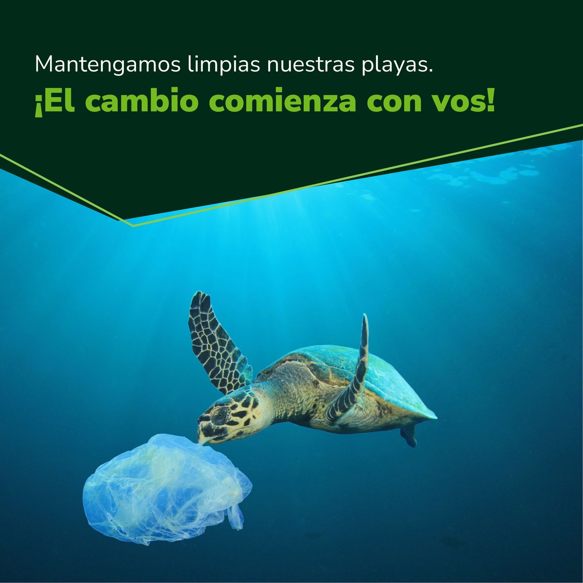 Un mar limpio comienza con vos 💙
Disfruta sin contaminar.