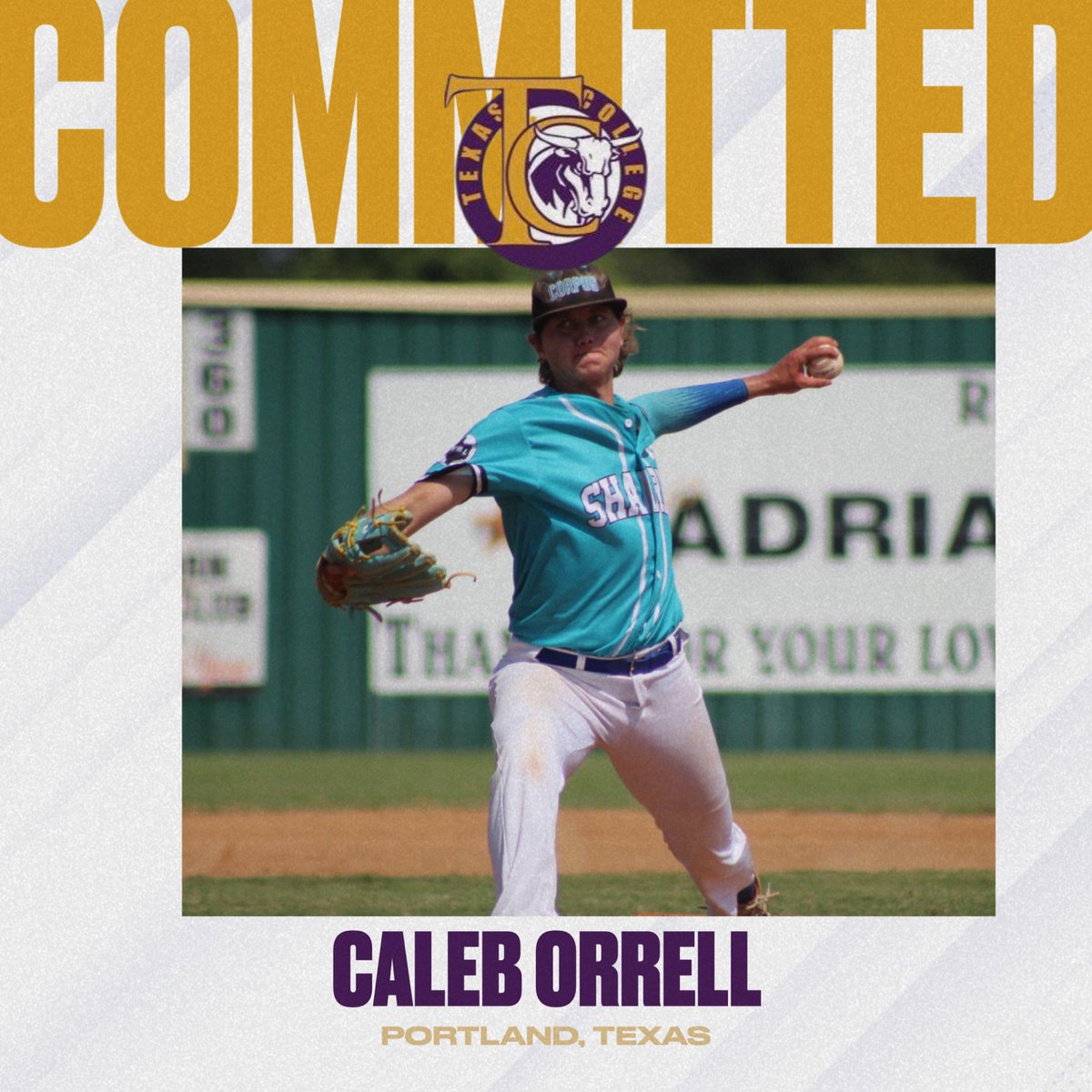 Go Steers! 3 more commits this week!